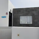 Cástor Playa Blanca (Lanzarote)